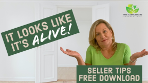 Get Your Home Ready To Sell