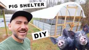 How to BUILD a PIG SHELTER (Small Scale) + COST