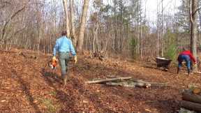 Couple BUILDING an OFF GRID CABIN in the WOODS | Clearing More LAND | Ep.91