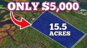 NEVER Buy Affordable Land If You Don't Know This!