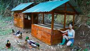 make a house for ducks, build a farmhouse - life in the forest