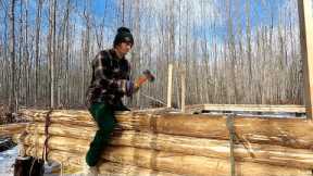 Building A Log Cabin In The Woods Alone: Simple Wall Construction
