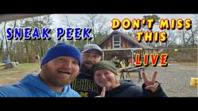 YOU ASKED FOR IT |tiny house homesteading off-grid cabin build DIY HOW TO sawmill tractor tiny cabin