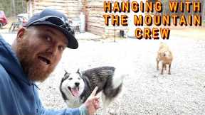 THE MOUNTAIN IS BUZZING |tiny house, homesteading, off-grid, cabin build, DIY HOW TO sawmill tractor