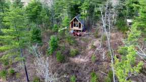 Back to the off-grid Cabin Build - Virginia Mountain Cabin