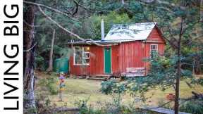 She Turned This Abandoned Hut Into A Dream Woodland Cabin