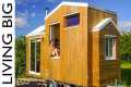 Her Beautiful Self-Built Tiny Home In 