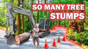 Building My 700ft Forest Driveway on a BUGDET