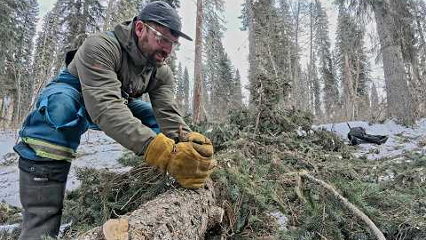Off Grid Mountain Homestead | Cabin Build