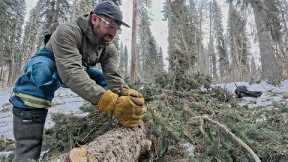 Off Grid Mountain Homestead | Cabin Build