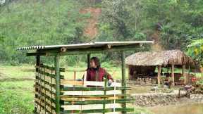 Expanding My Farm – Building a Duck House on $1,000 Land | EP19