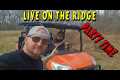 GRILLING AND CHILLING LIVE |tiny