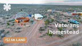 Veterans buy dirt-cheap land to build off-grid coliving homestead