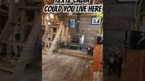 12x12 Cabin! Could You Live Here?