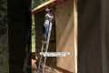 10x12 tiny cabin build #diy