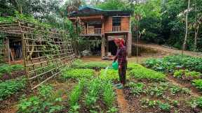 FULL VIDEO / 30 Days: Farm Renovation & Building Process (Free) | Growing - Harvesting_Lý dao dao 